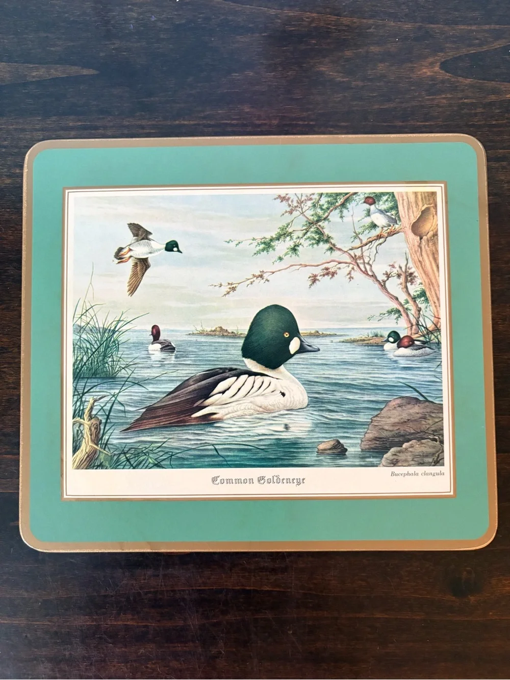 Set of 4 Vintage Pimpernel Waterfowl Print Cork Mats England